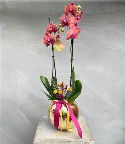 Luxe Gold Vase Orchid Pomegranate Flower Color