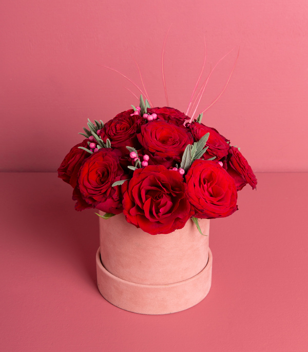 Red Roses in Pink Box