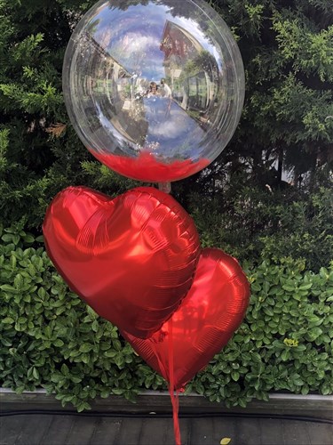 Kalpli Balonlar ve Kırmızı Tüylü Balon