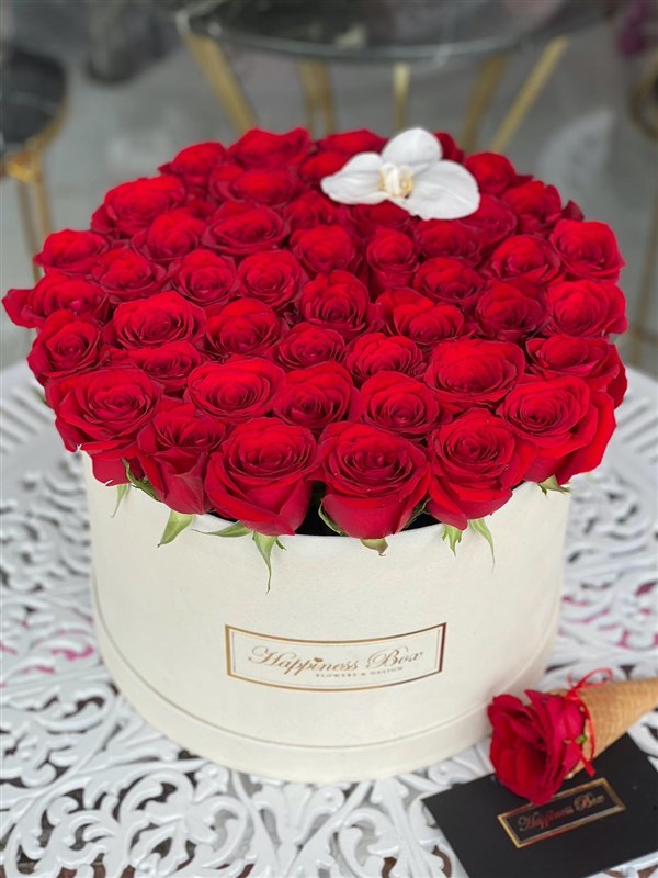 Bej Kadife Mega Kutuda Kırmızı Güller