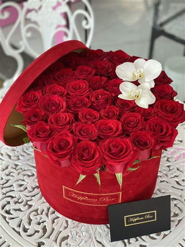 Kırmızı Kadife Mega Kutuda Kırmızı Güller