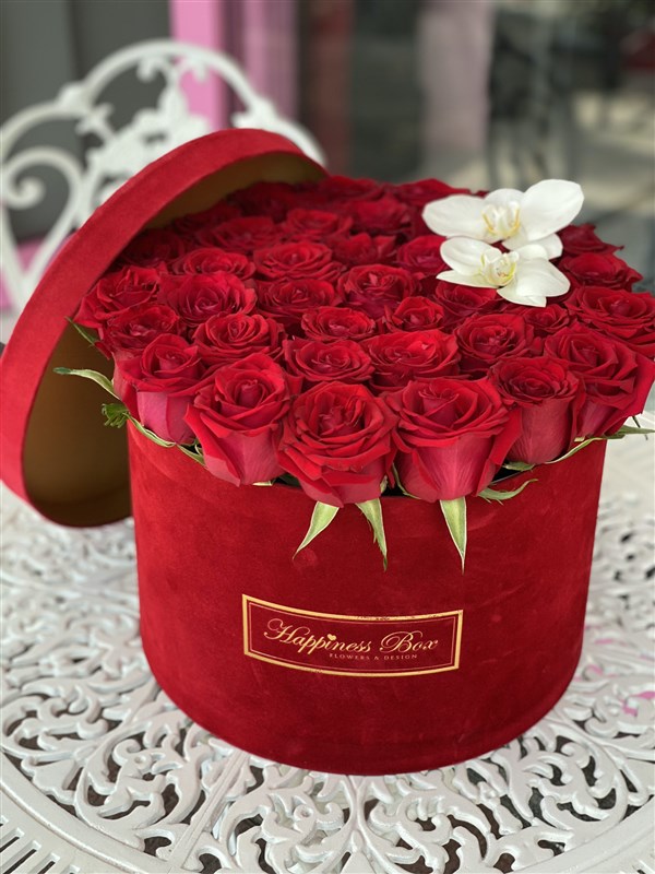 Kırmızı Kadife Mega Kutuda Kırmızı Güller