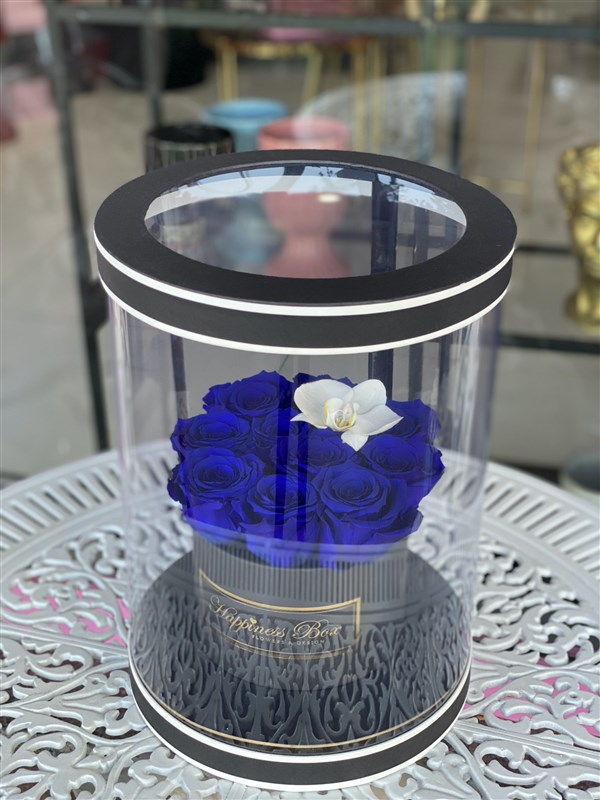 Siyah Silindir Asetat Kutuda Mavi Solmayan Güller