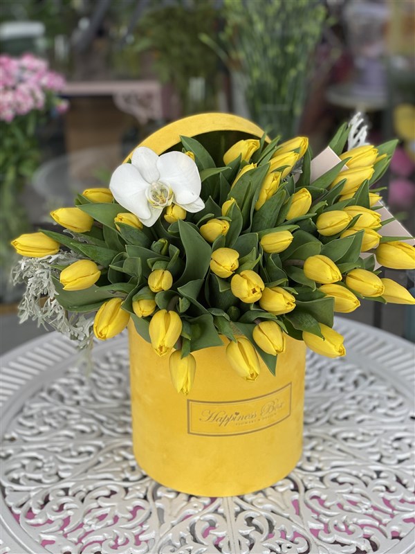 Sarı Kadife Silindir Kutuda Sarı Laleler