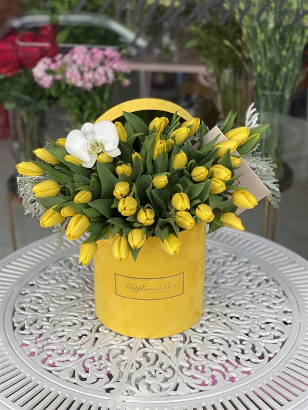 Sarı Kadife Silindir Kutuda Sarı Laleler