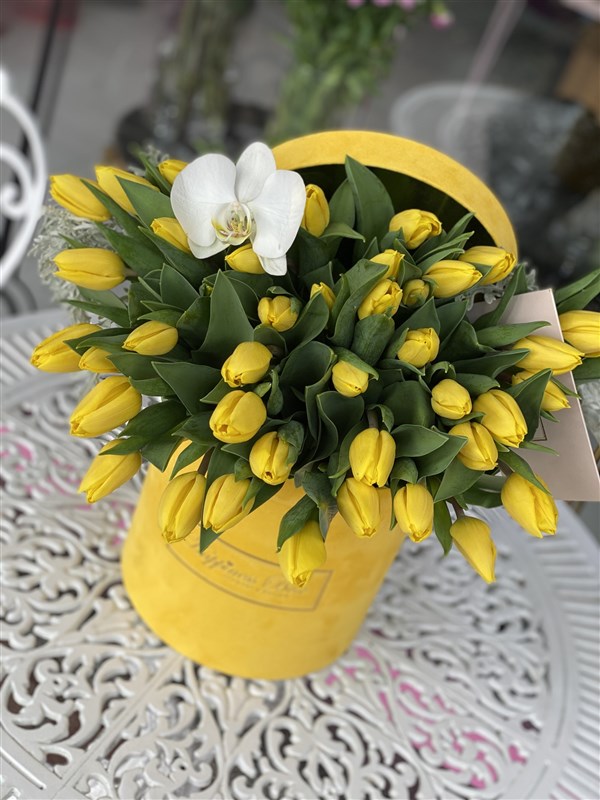 Sarı Kadife Silindir Kutuda Sarı Laleler