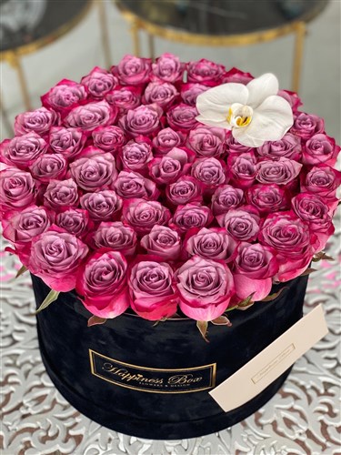 Siyah Mega Kutuda Lila Çift Renk Güller