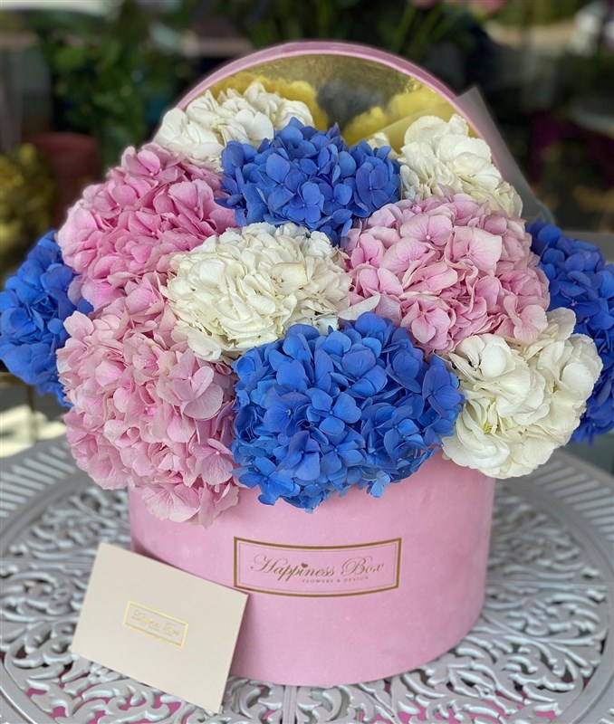 Pembe Mega Kutuda Ortancalar