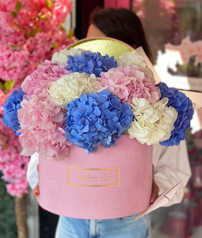 Pembe Mega Kutuda Ortancalar