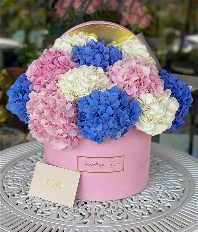 Pembe Mega Kutuda Ortancalar