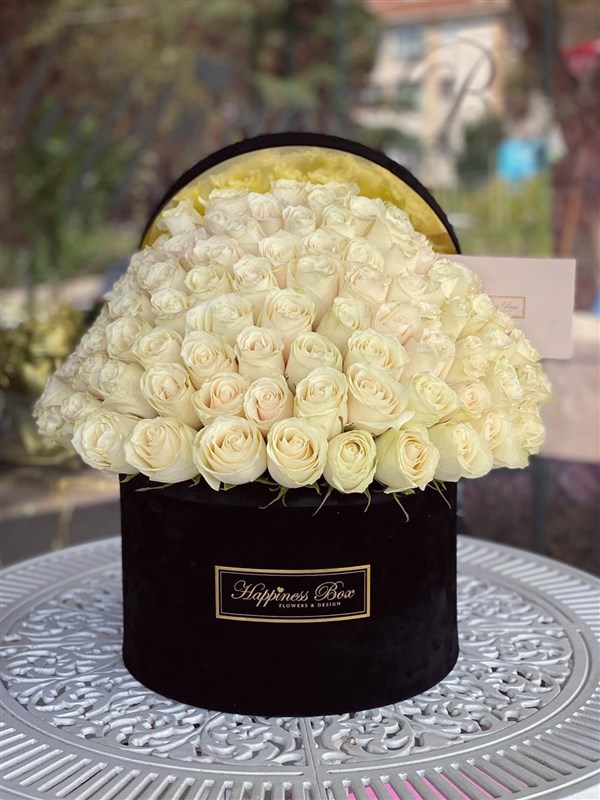 Siyah Kadife Mega Kutuda Bombeli Beyaz Güller