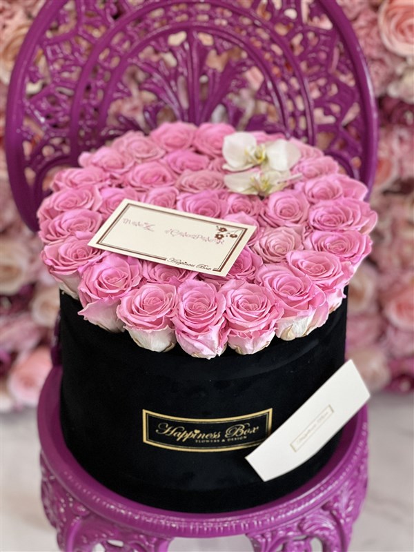 Mega Kutuda Pembe Solmayan Ekvator Gülleri