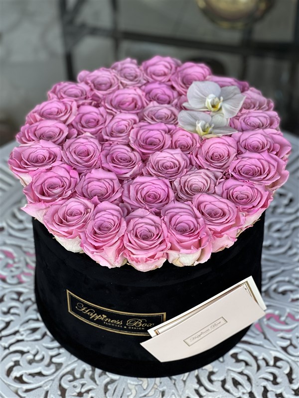 Mega Kutuda Pembe Solmayan Ekvator Gülleri