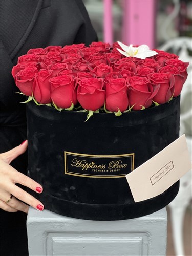 Siyah Kadife Mega Kutuda Lüks Kırmızı Güller