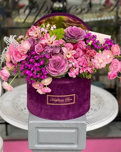 Mor Kutuda Lüks Aranjman