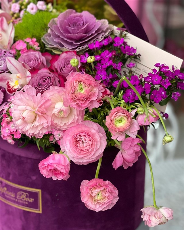 Mor Kutuda Lüks Aranjman