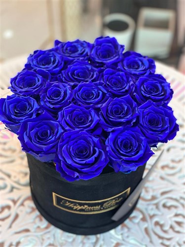 Siyah Kadife Silindir Kutuda Mavi Solmayan Güller