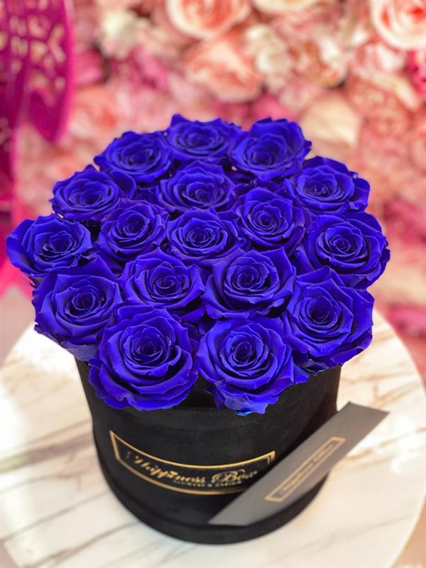 Siyah Kadife Silindir Kutuda Mavi Solmayan Güller