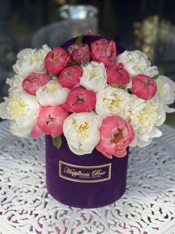 Mor Kadife Kutuda Mercan - Beyaz Şakayıklar