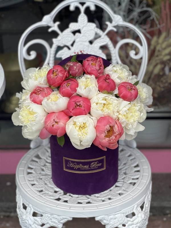 Mor Kadife Kutuda Mercan - Beyaz Şakayıklar