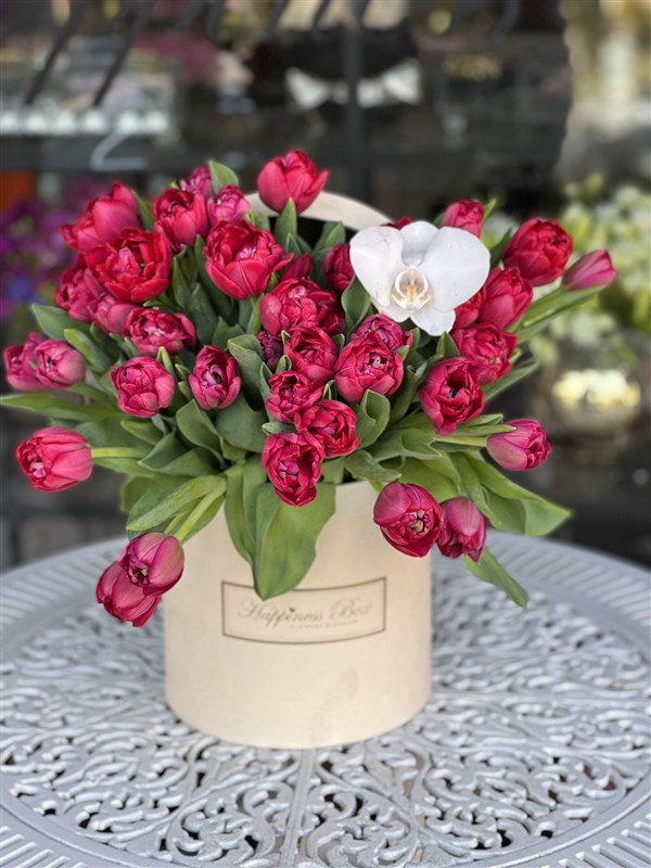 Bej Kadife Kutuda Lale Şöleni