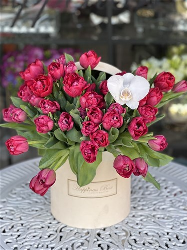 Bej Kadife Kutuda Lale Şöleni