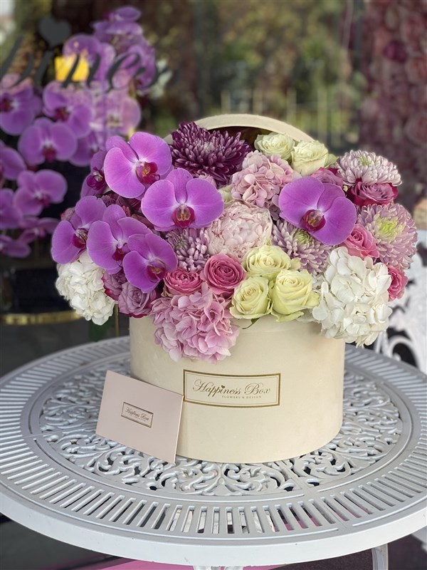 Bej Kutuda Orkide ve Ortanca Aranjmanı