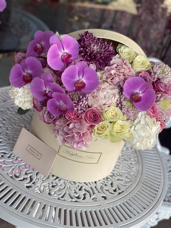 Bej Kutuda Orkide ve Ortanca Aranjmanı