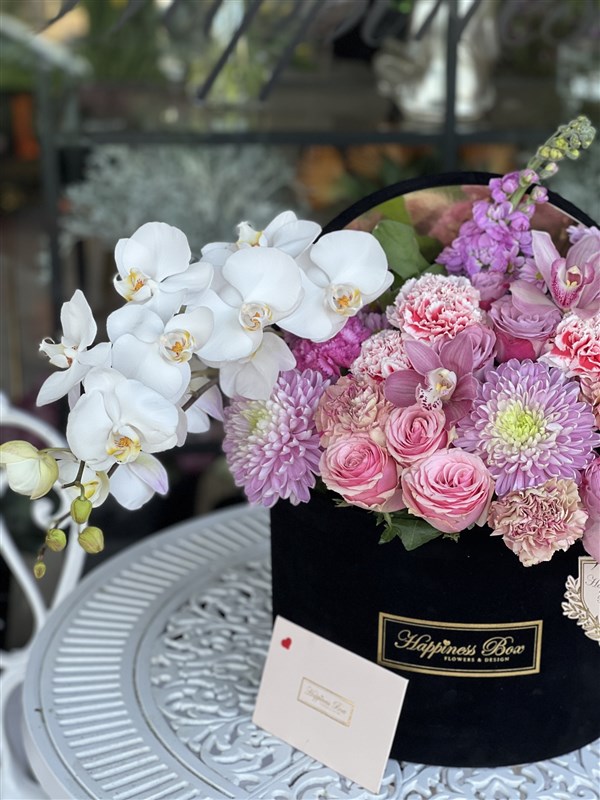 Siyah Mega Kutuda Orkideli Aranjman