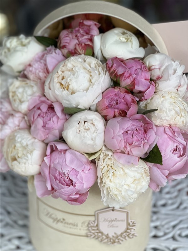 Lüks Kutuda Pembe Beyaz Şakayıklar