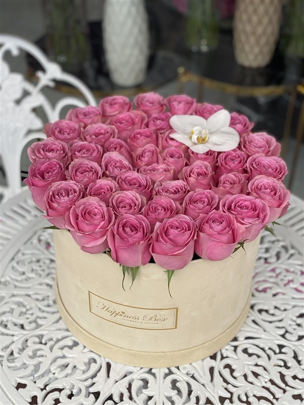 Bej Kadife Kutuda Pembe İthal Güller