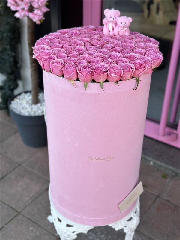 Pembe Kadife Dev Kutuda Pembe Güller