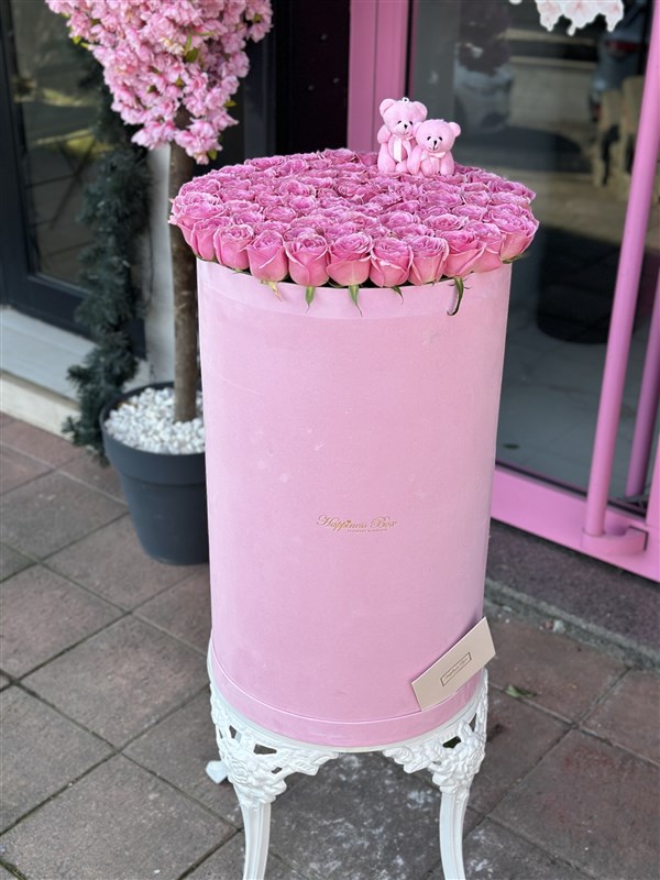 Pembe Kadife Dev Kutuda Pembe Güller