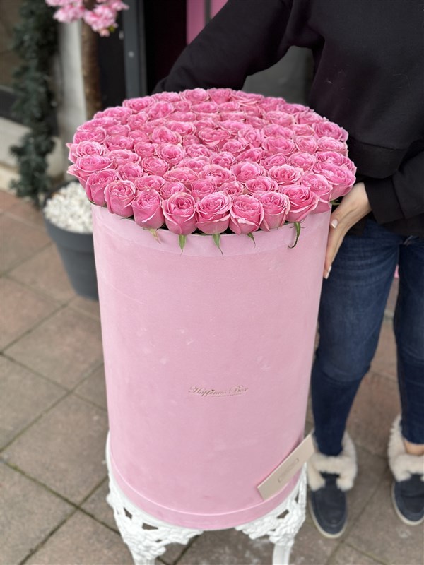 Pembe Dev Kutuda Pembe Güller ve Büyük Ayıcık