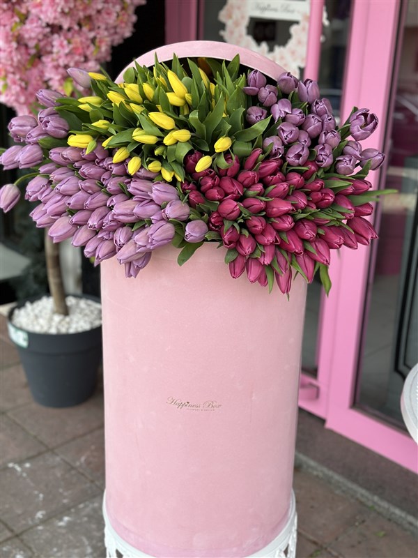 Dev Kutuda Lale Bahçesi