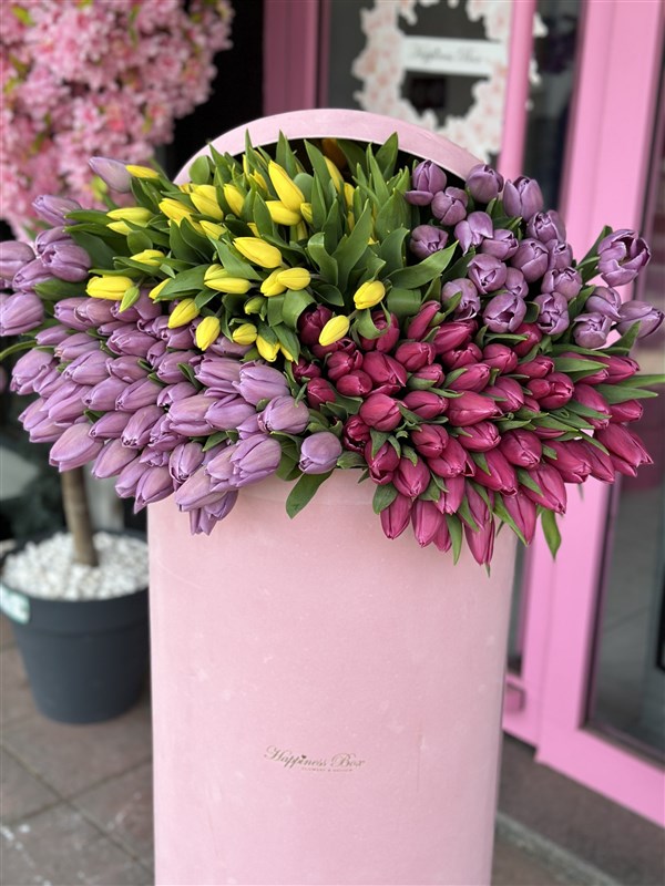 Dev Kutuda Lale Bahçesi