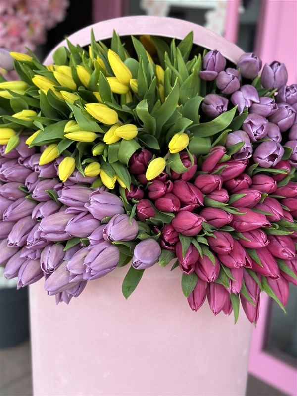 Dev Kutuda Lale Bahçesi