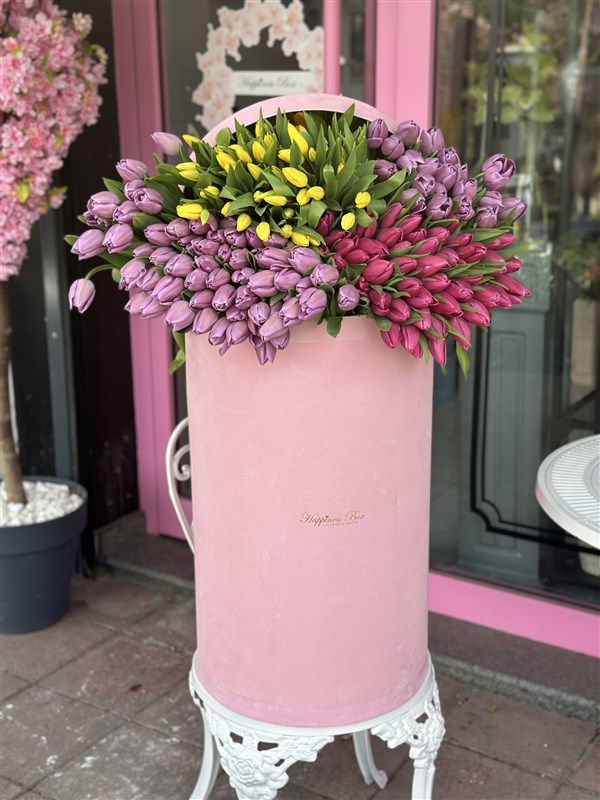 Dev Kutuda Lale Bahçesi