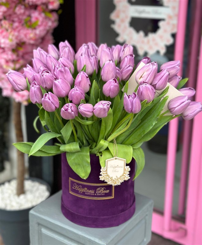 Mor Kadife Kutuda Lila Laleler