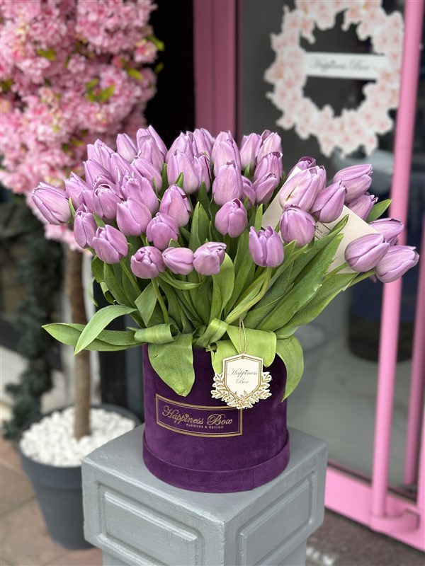 Mor Kadife Kutuda Lila Laleler