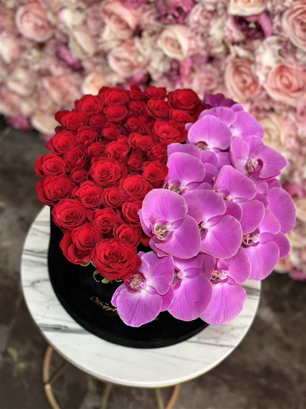 Siyah Kadife Mega Kutuda Kırmızı Güller ve Orkideler