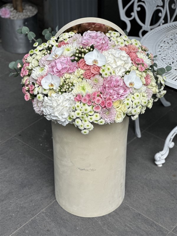 1 Metre Dev Aranjman Bej Renk Kadife Tasarım Kutuda