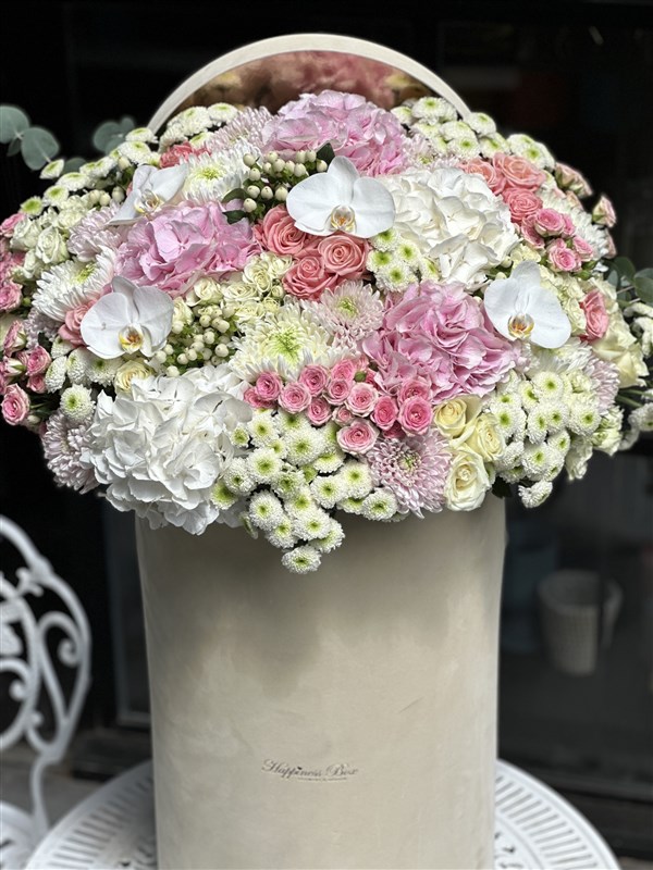 1 Metre Dev Aranjman Bej Renk Kadife Tasarım Kutuda