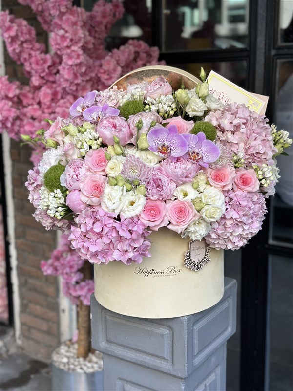 Elisa Krem Kadife Kutuda Ortancalar ve Pembe Lila Çiçekler