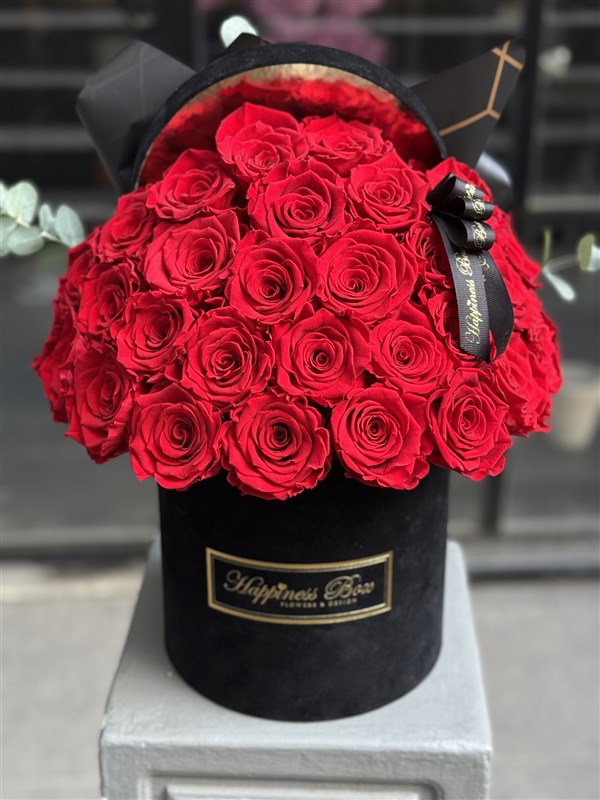 Siyah Kadife Kutuda Kırmızı Solmayan Güller - Şoklanmış Güller