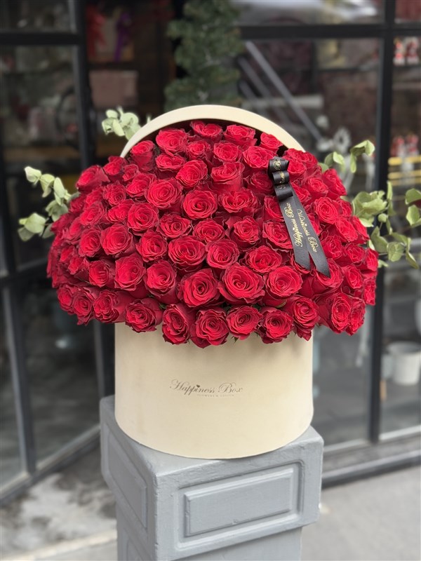 Bej Kadife Kutuda Deluxe Kırmızı Güller