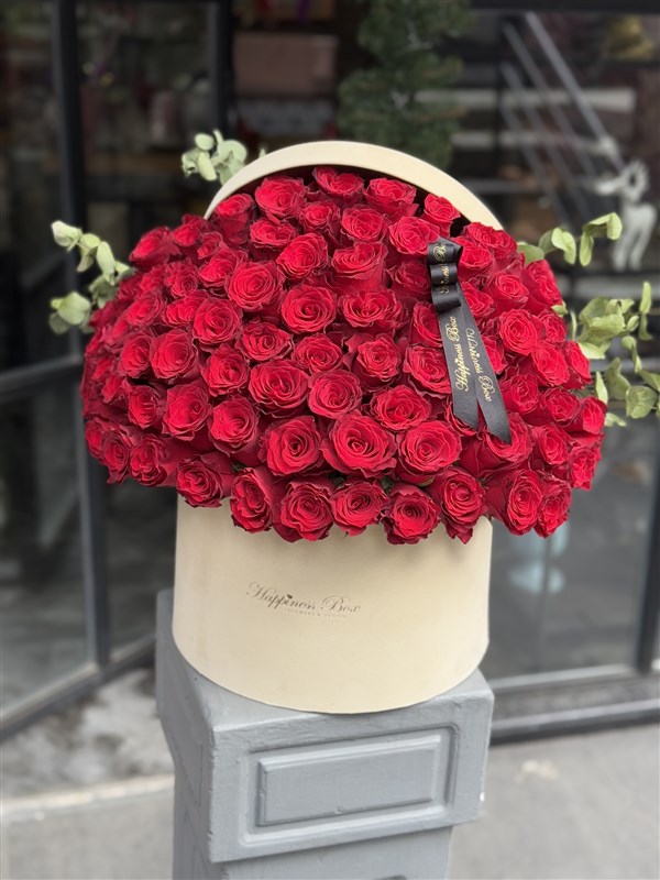 Bej Kadife Kutuda Deluxe Kırmızı Güller