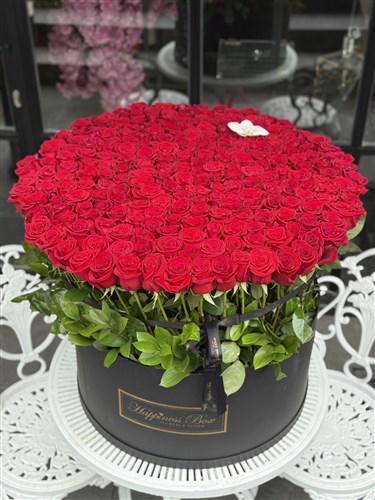 Grand Deluxe Dev Kutuda 200 Kırmızı Gül