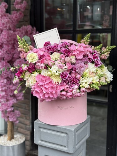 Pembe Kadife Kutuda Pembe Ortanca ve Erengüller