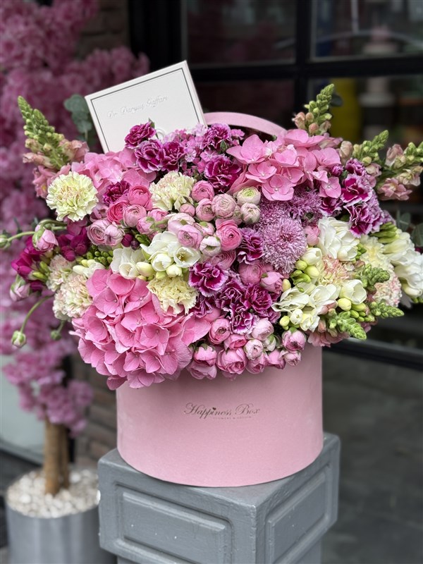 Pembe Kadife Kutuda Pembe Ortanca ve Erengüller